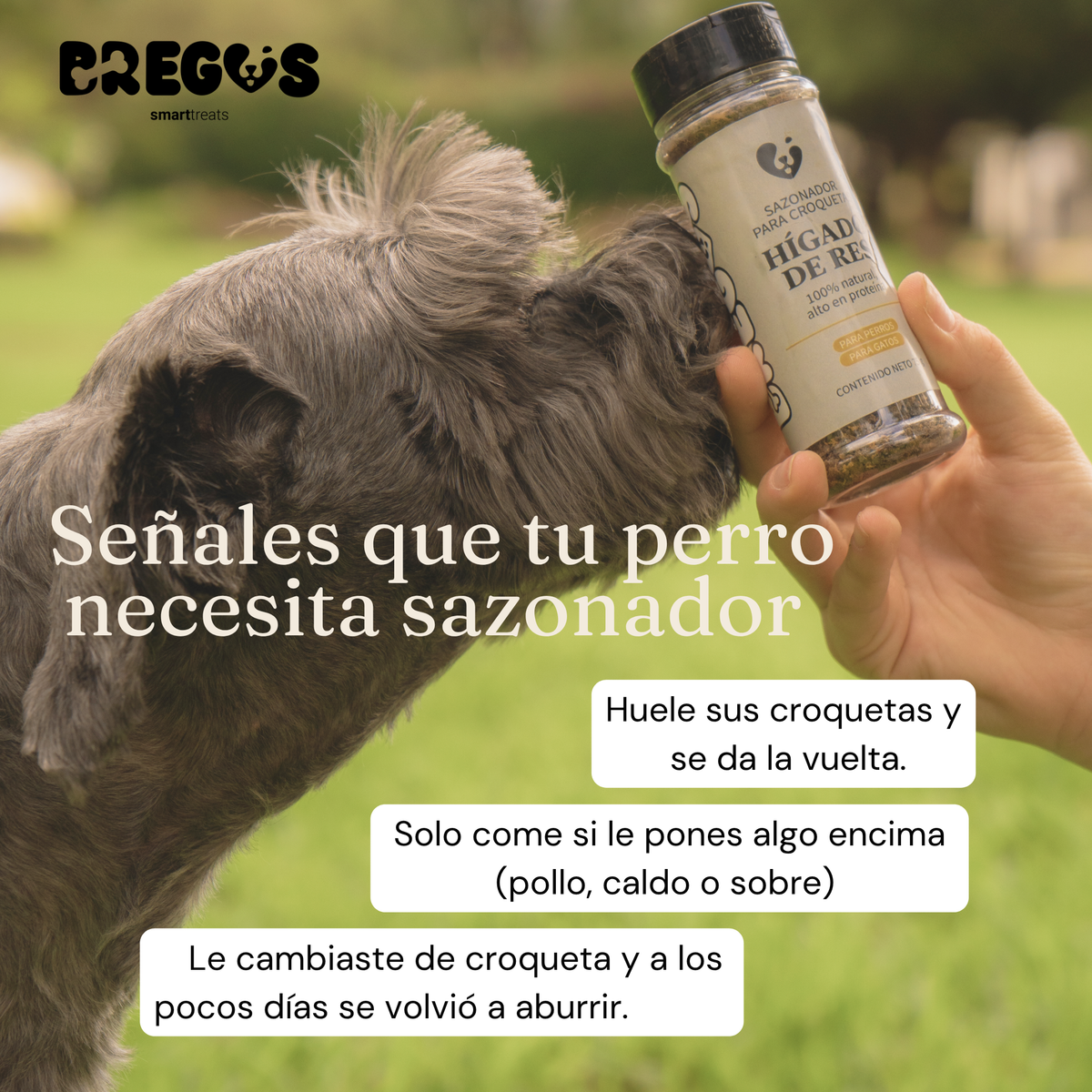 SAZONADOR PARA CROQUETAS - Topping natural para transformar sus croquetas